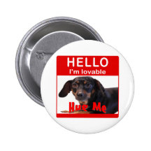 Hug A Dachshund Pinback Buttons