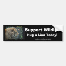 HUG A LION Wildlife-Supporter Fun Bumper Sticker