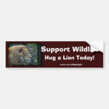 HUG A LION Wildlife-Supporter Fun Bumper Sticker