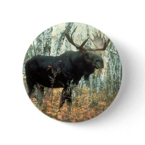 Huge Moose Pinback Buttons
