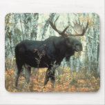 Huge Moose Mousepads