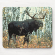 Huge Moose Mousepads