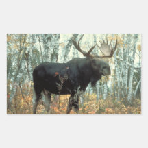 Huge Moose Rectangular Stickers