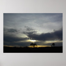 Huge Poster of Oaks in Setting Sun in Paso Robles