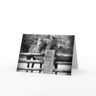 Hugging Horses - It's Love! Greeting Cards by CountryCorner