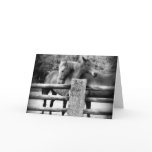 Hugging Horses - It's Love! cards