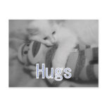 Hugs Cat postcard
