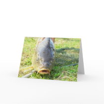 Huh? - Carp Close up Greeting Cards