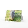 Huh? - Carp Close up Greeting Cards
