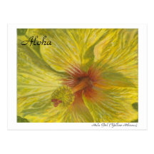 Hula Girl (Yellow Hibiscus) Postcard