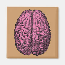 Human Anatomy Brain Fridge Magnet