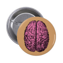 Human Anatomy Brain Pinback Button