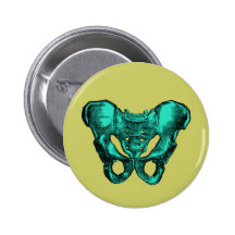 Human Anatomy Pelvis Bones Button