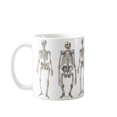 Human and Ape Skeletons Primate Missing Link Mug by AntiqueImages