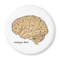 Human Brain: Analyze This! Refrigerator Magnets
