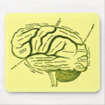 Human Brain mousepads