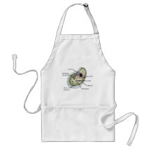 Human Cell Biology T-Shirts Apron