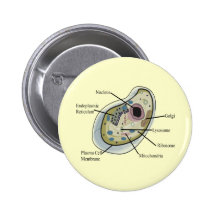 Human Cell Biology T-Shirts Button