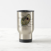 Human Cell Biology T-Shirts Coffee Mugs