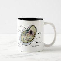 Human Cell Biology T-Shirts Mug