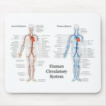 Human Circulatory System of Arteries and Veins Mouse Pads