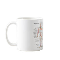 Human Circulatory System of Arteries and Veins Coffee Mugs