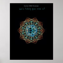Human DNA Poster