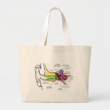 Human Ear Diagram with Cochlear Frequency Mapping Bag