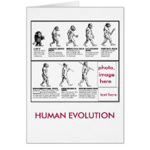 human evolution.. card