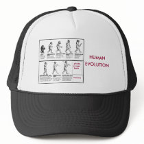 human evolution hat
