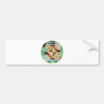 Human Genetics - Changing Gender Symbols Bumper Sticker