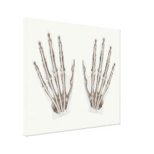 Human hand anatomy stretched canvas print