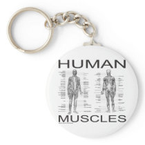 Human Muscles and Anatomy Keychain