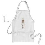 Human Skeleton Aprons