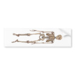 Human Skeleton bumper stickers