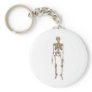 Human Skeleton