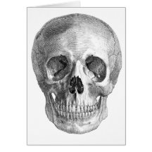 Human skull anatomy sketch drawing cards