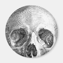 Human skull anatomy sketch drawing refrigerator magnet