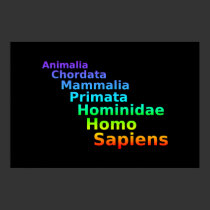 Human Taxonomy Poster posters