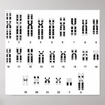 Humano d'ADN Posters