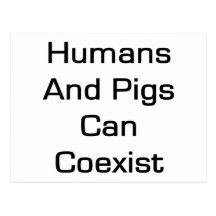 Humans And Pigs Can coexist Post Cards