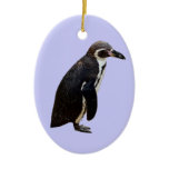 Humboldt Penguin Hanging Pendant Ornament
