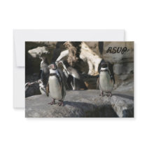 Humboldt Penguin Invites