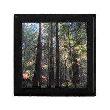 Humboldt Redwoods State Park Keepsake Boxes