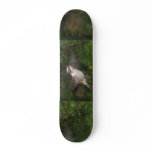 Hummer Board Custom Skateboard