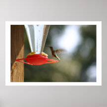 hummer print