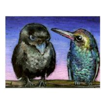 Humming bird and raven post cards