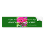 Humming Bird Bumper Stickers