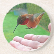 Humming Bird coasters