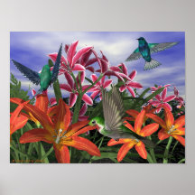 Humming bird Garden Print